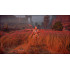 Horizon Zero Dawn. Complete Edition [русская версия] PS4