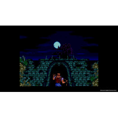 Castlevania Anniversary Collection (Limited Run) [английская версия] PS4