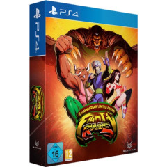 Fight'n Rage: 5th Anniversary - Limited Edition [английская версия] PS4