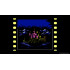Castlevania Anniversary Collection (Limited Run) [английская версия] PS4