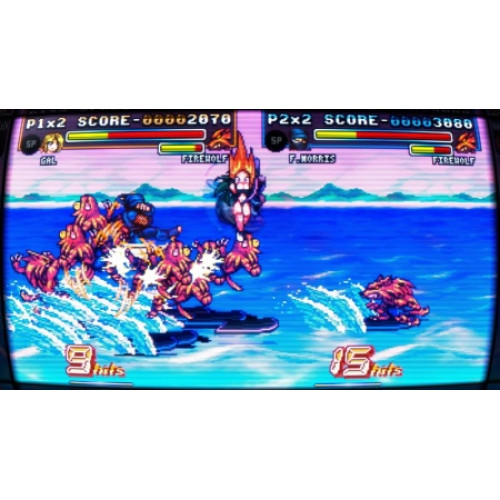 Fight'n Rage: 5th Anniversary - Limited Edition [английская версия] PS4