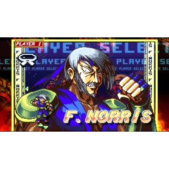 Fight'n Rage: 5th Anniversary - Limited Edition [английская версия] PS4