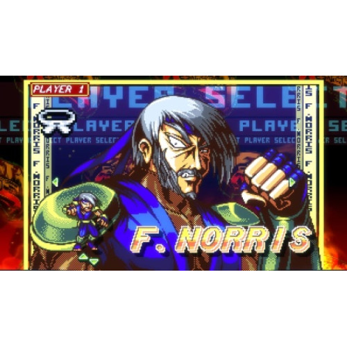Fight'n Rage: 5th Anniversary - Limited Edition [английская версия] PS4