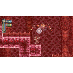 Vengeful Guardian: Moonrider [английская версия] PS4