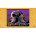Disney Classic Games: The Jungle Book, Aladdin & The Lion King [английская версия] PS4