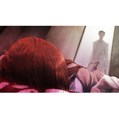 SteinsGate 0 (английская версия) PS4