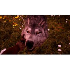Far Cry 4 + Far Cry Primal - Double Pack (Русская версия) PS4
