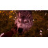 Far Cry 4 + Far Cry Primal - Double Pack (Русская версия) PS4