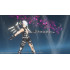 Dragon Star Varnir (английская версия) PS4