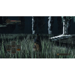 Dark Souls 2: Scholar of The First Sin (Русские субтитры) PS4