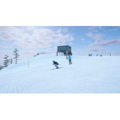 Alpine: The Simulation Game (английская версия) PS4