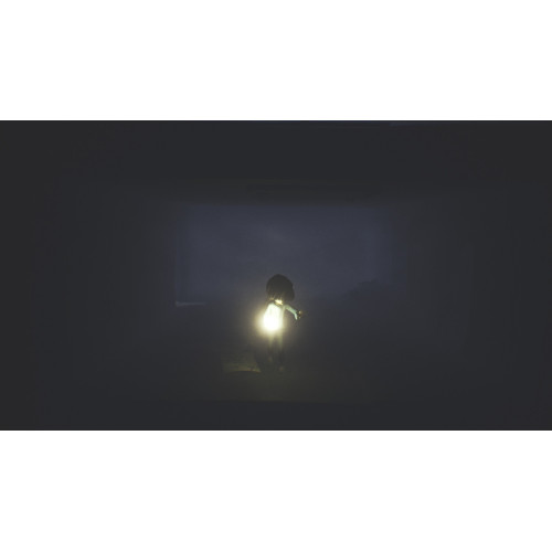 Little Nightmares - Complete Edition (Русская версия) PS4