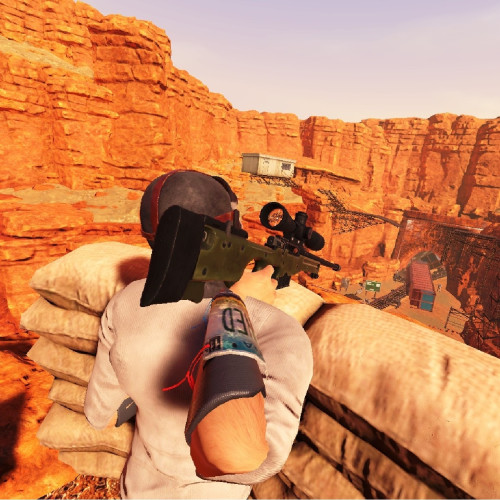 Arizona Sunshine (только для PS VR) (Русская версия) PS4
