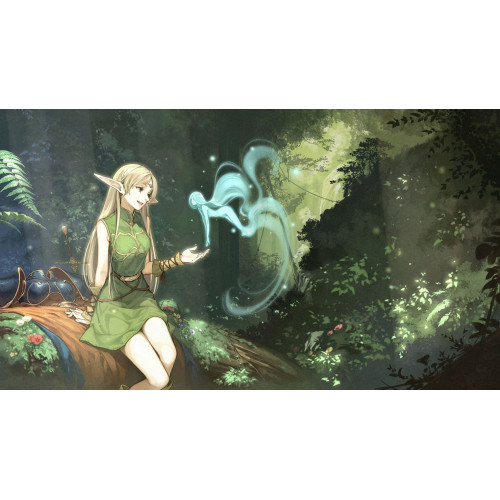 Record of Lodoss War: Deedlit in Wonder Labyrinth (Русские субтитры) PS4