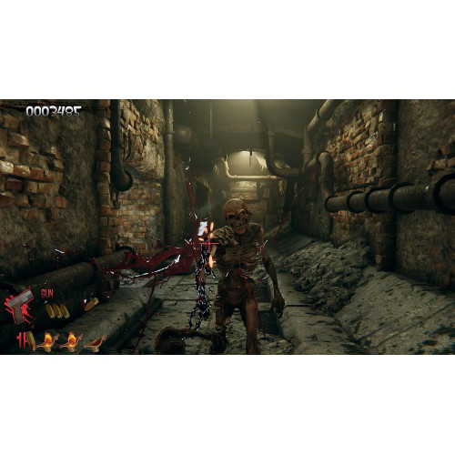 The House of the Dead: Remake - Limidead Edition (Русские субтитры) PS4