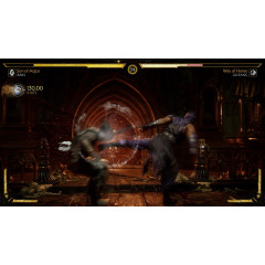 Mortal Kombat 11 (Русские субтитры) PS4