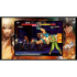 Art of Fighting Anthology (Limited Run #375) (английская версия) PS4