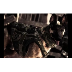 Call of Duty: Ghosts [Русская Версия] PS4 (Б/У)