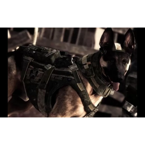 Call of Duty: Ghosts [Русская Версия] PS4 (Б/У)