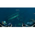 Subnautica: Below Zero [русские субтитры] PS4	 													