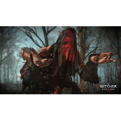 Ведьмак 3: Дикая Охота. Издание «Игра года» (The Witcher 3: Wild Hunt) [Русские субтитры] PS4